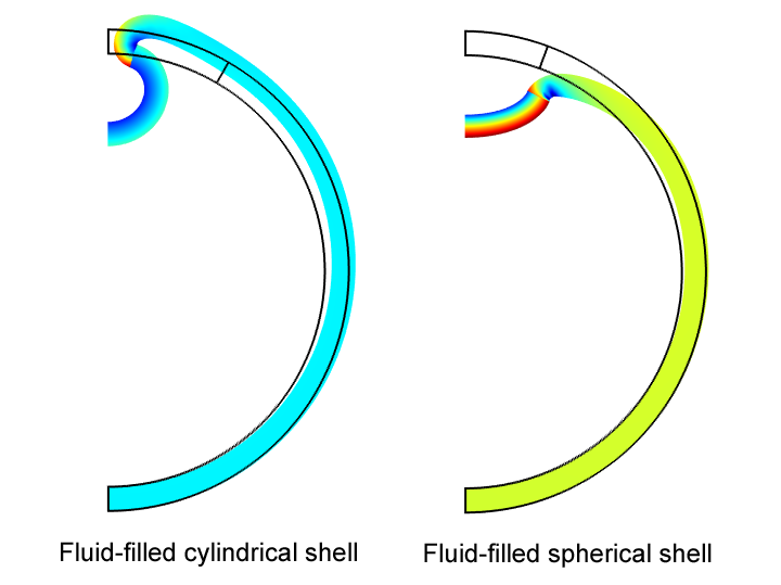 shell invagination